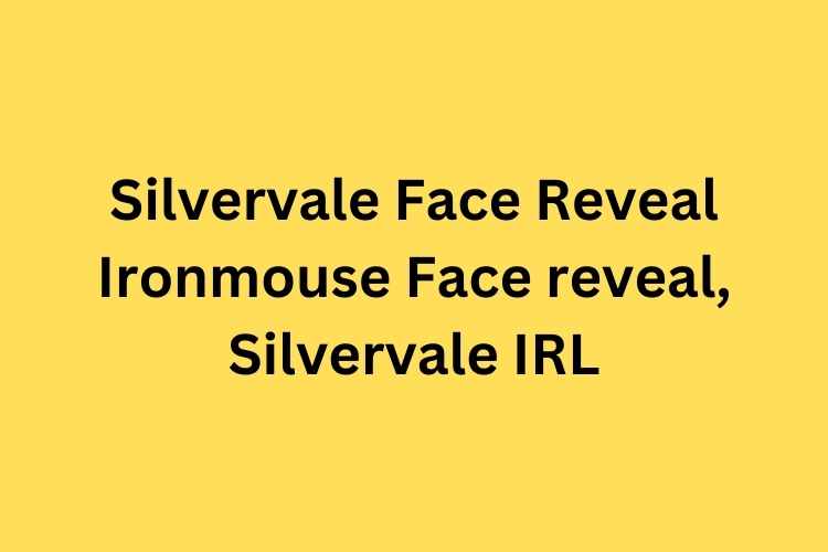Silvervale Face Reveal Ironmouse Face reveal, Silvervale IRL